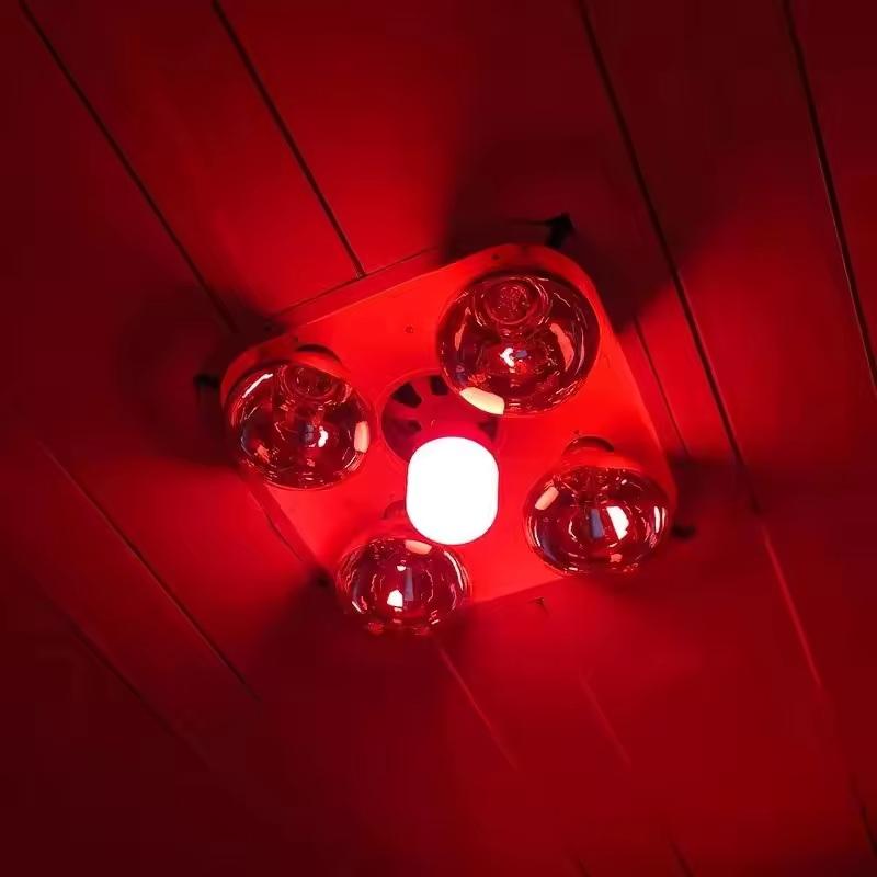 Nowa Żarówka LED Czerwona Duże – Lighting Christmas Decor recenzja i cena